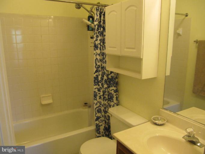 20964 Rootstown Terrace Ashburn, VA 20147 - Photo 4 of 9 Bath (Master)