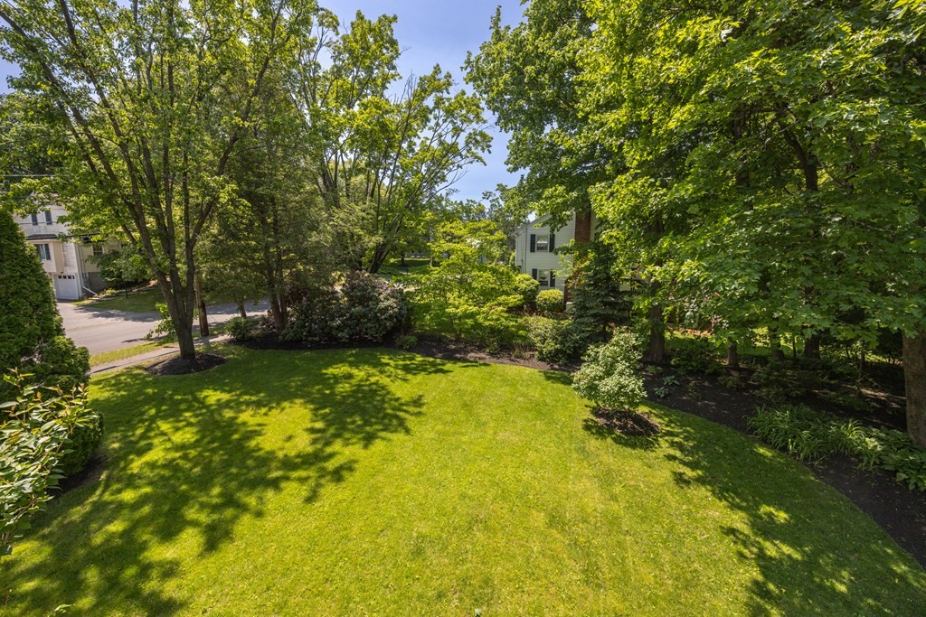 64 Reed Street Lexington, MA 02421 - Photo 5 of 12 a view of yard