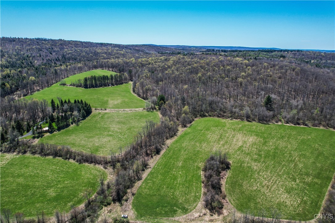 0 Hardscrabble Road Erieville, NY 13061 - Photo 1 of 1 Gallery Image 1