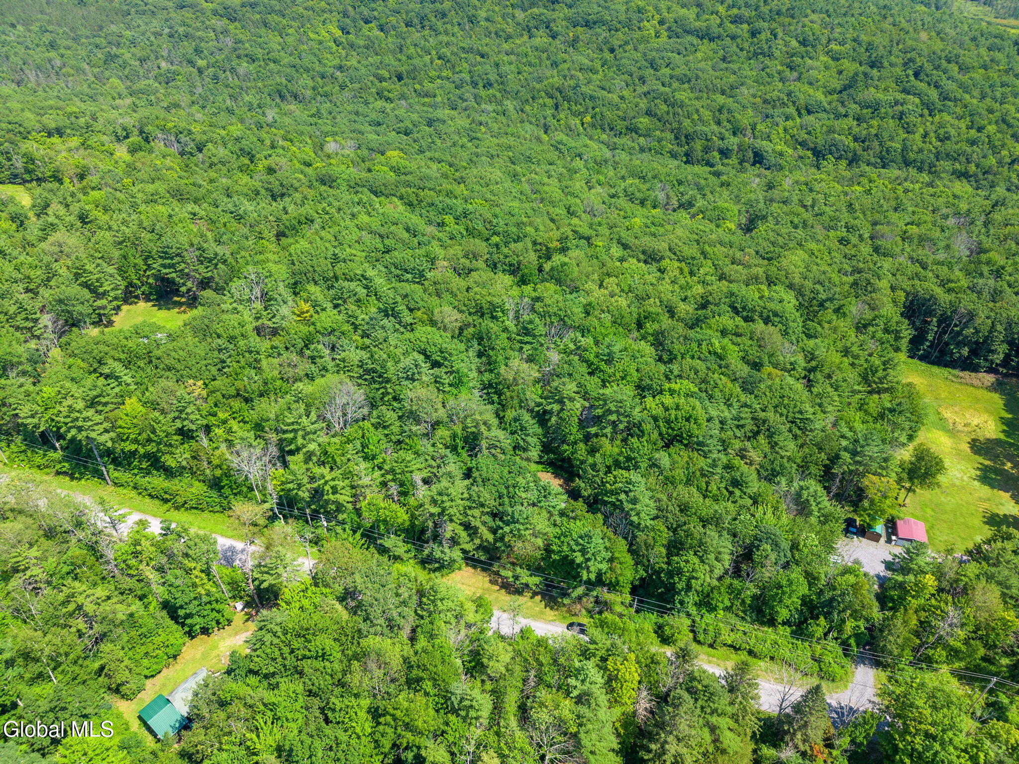 404 Posson Hill Road Middleburgh, NY 12122 - Photo 20 of 22 21-404PossonHillRd_21
