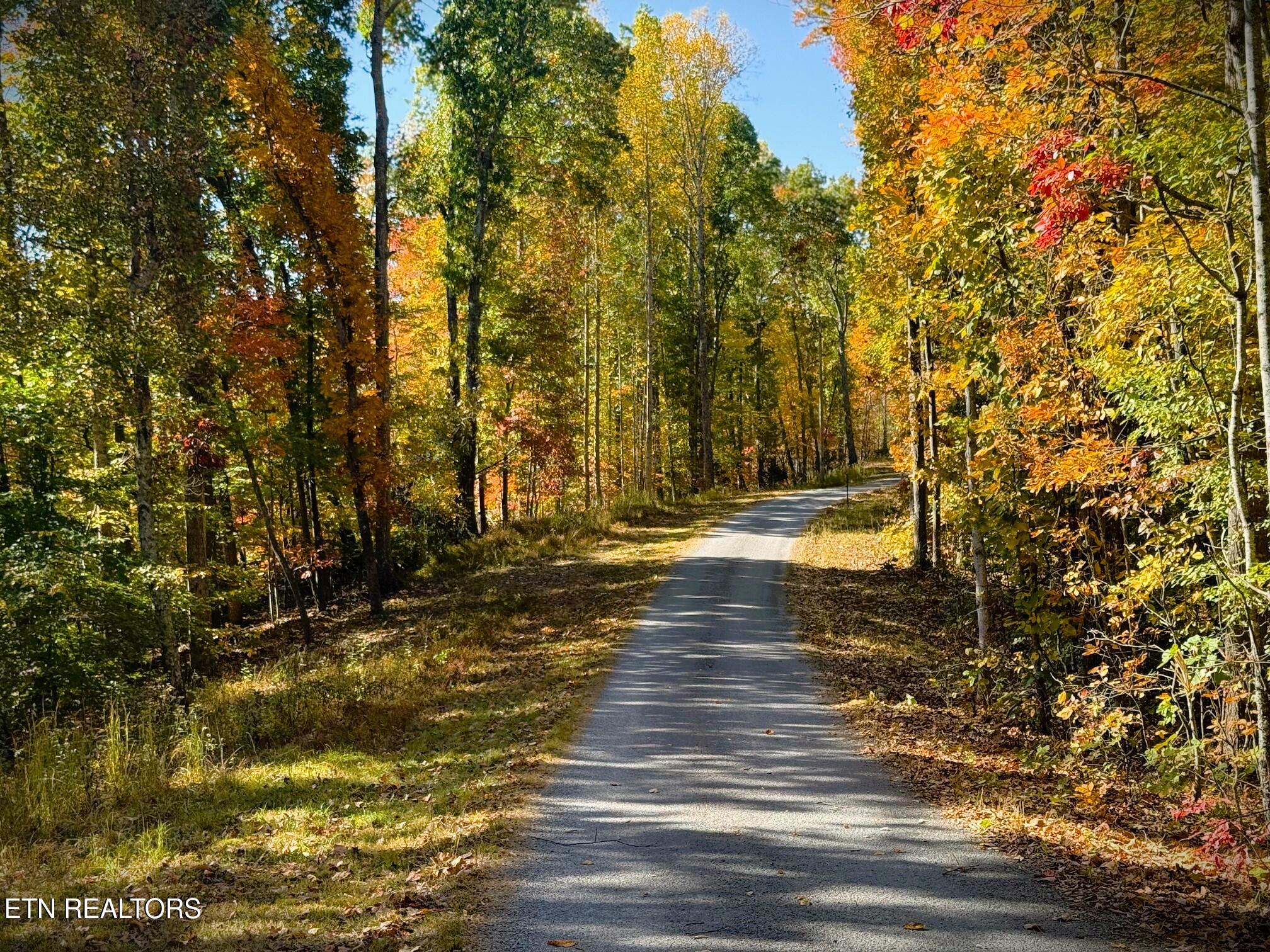 120 Heartridge Road Hilham, TN 38568 - Photo 2 of 55 IMG_9751
