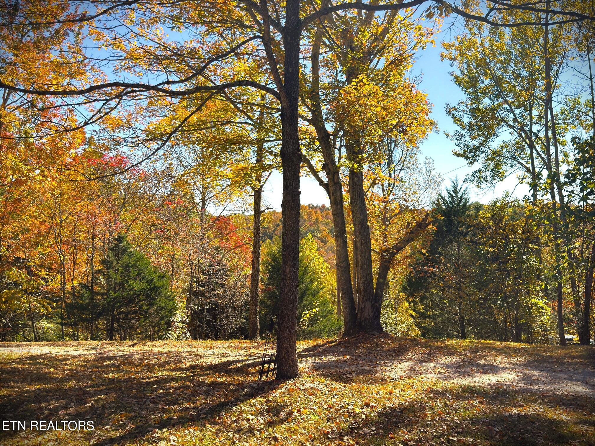 120 Heartridge Road Hilham, TN 38568 - Photo 33 of 55 IMG_9763 (1)