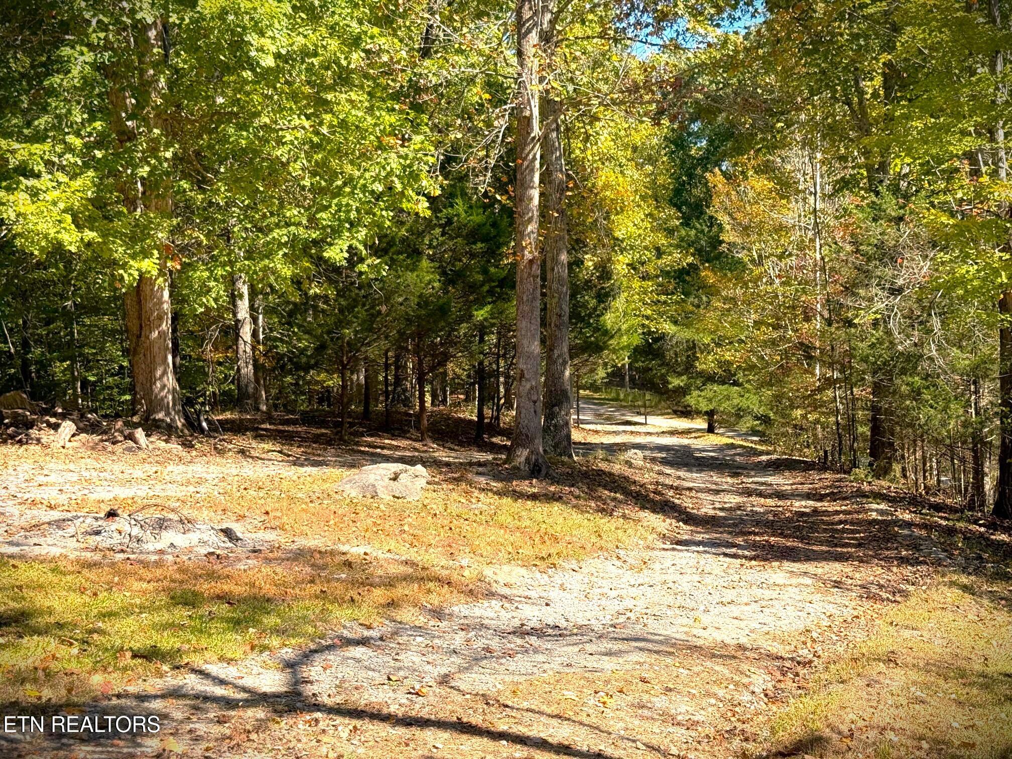 120 Heartridge Road Hilham, TN 38568 - Photo 50 of 55 IMG_9561