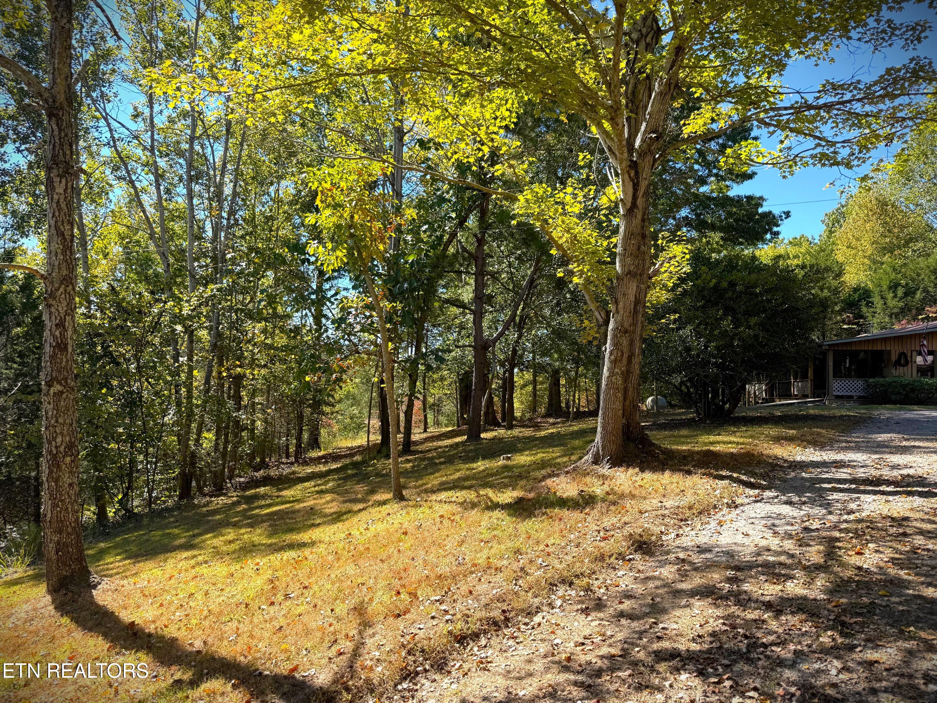 120 Heartridge Road Hilham, TN 38568 - Photo 52 of 55 IMG_9563 (1)