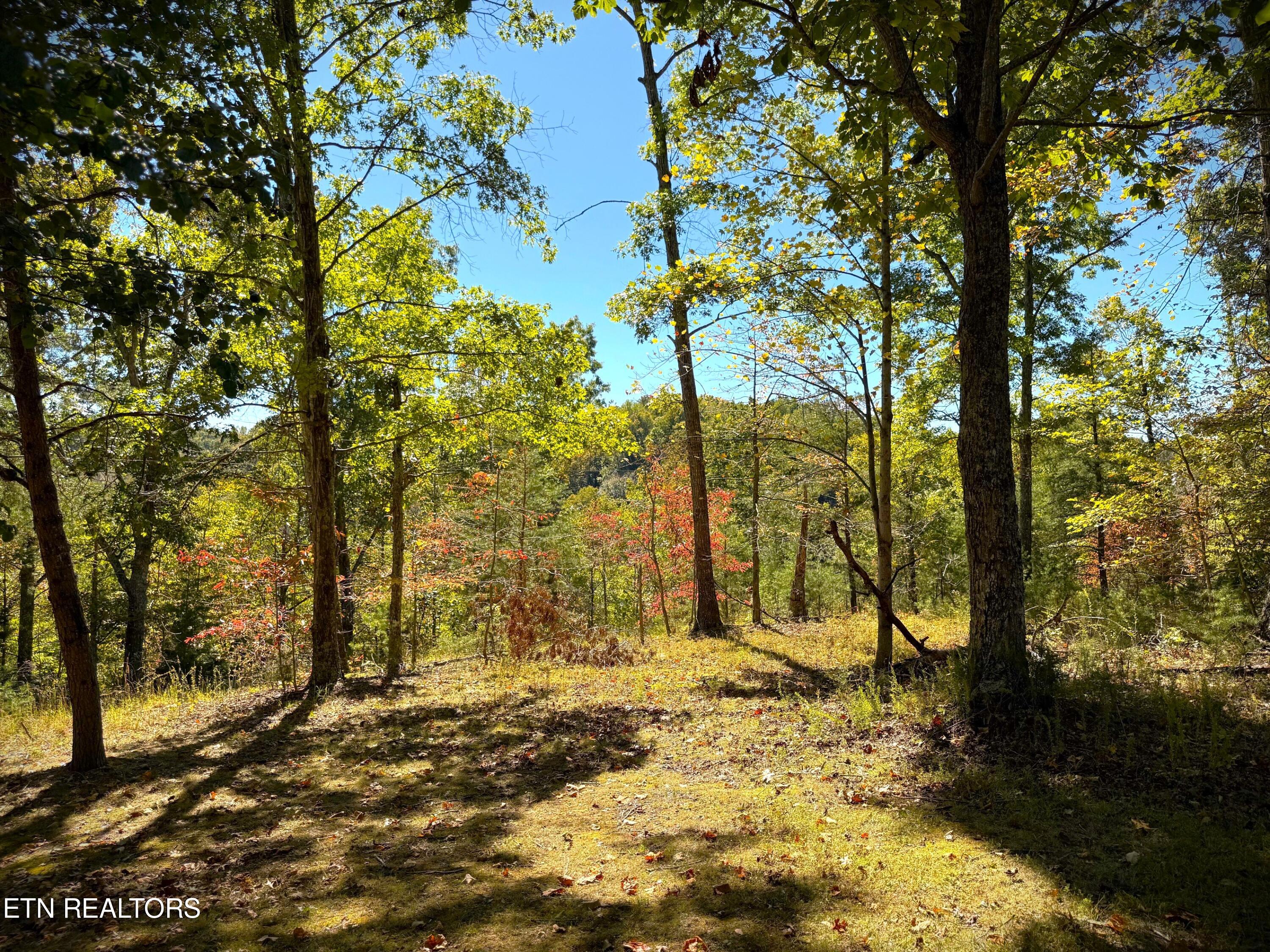 120 Heartridge Road Hilham, TN 38568 - Photo 53 of 55 IMG_9568 (1)