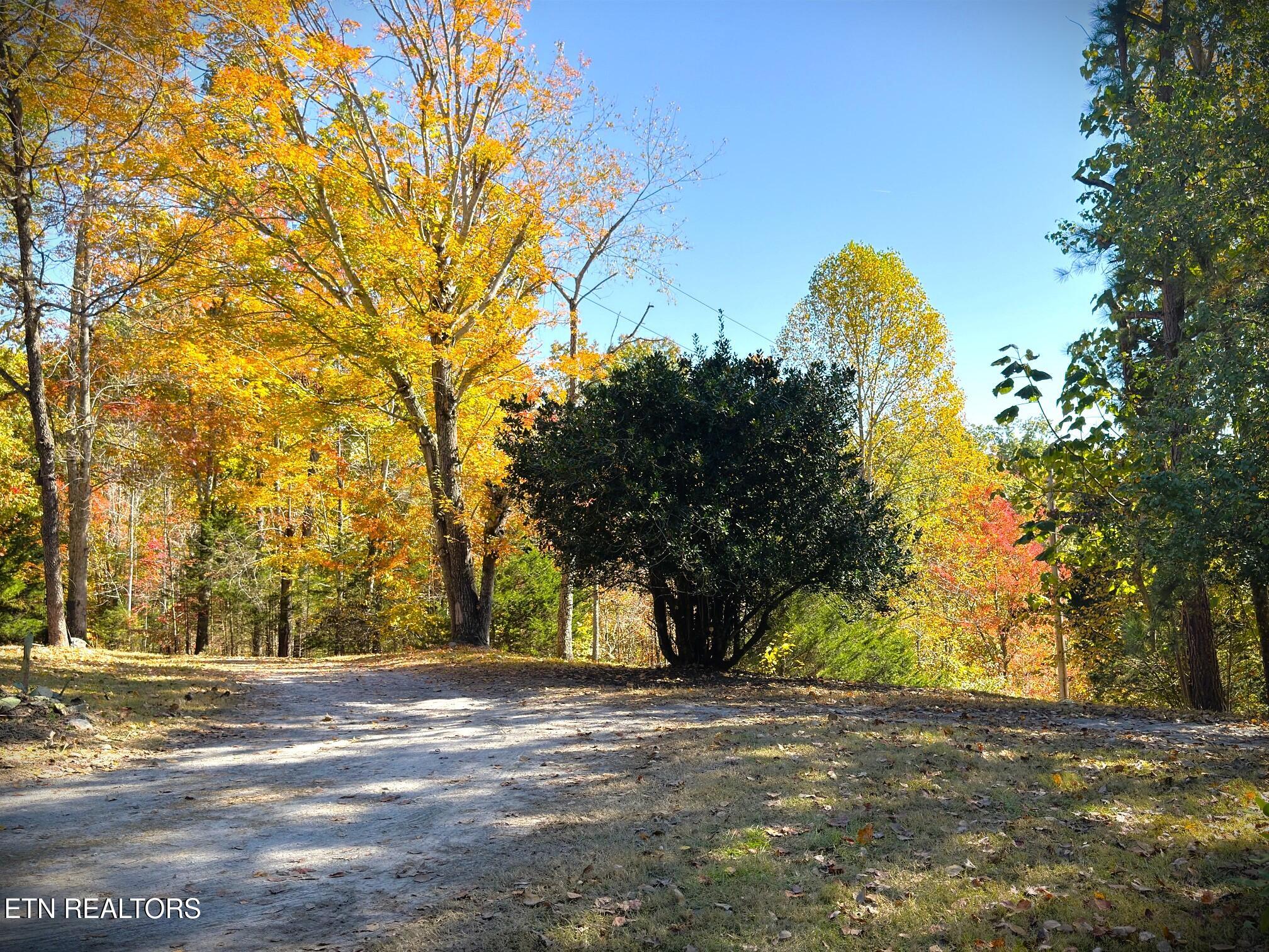 120 Heartridge Road Hilham, TN 38568 - Photo 7 of 55 IMG_9762 (2)