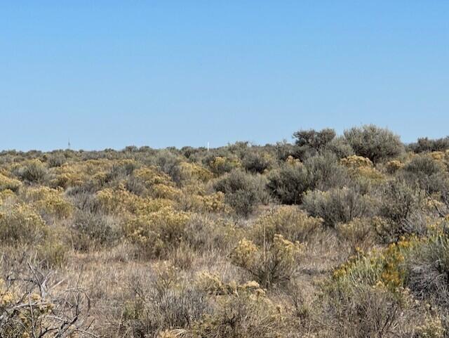 Off Rockhouse (0716) Road Christmas Valley, OR 97641 - Photo 5 of 8 a view of a dry field