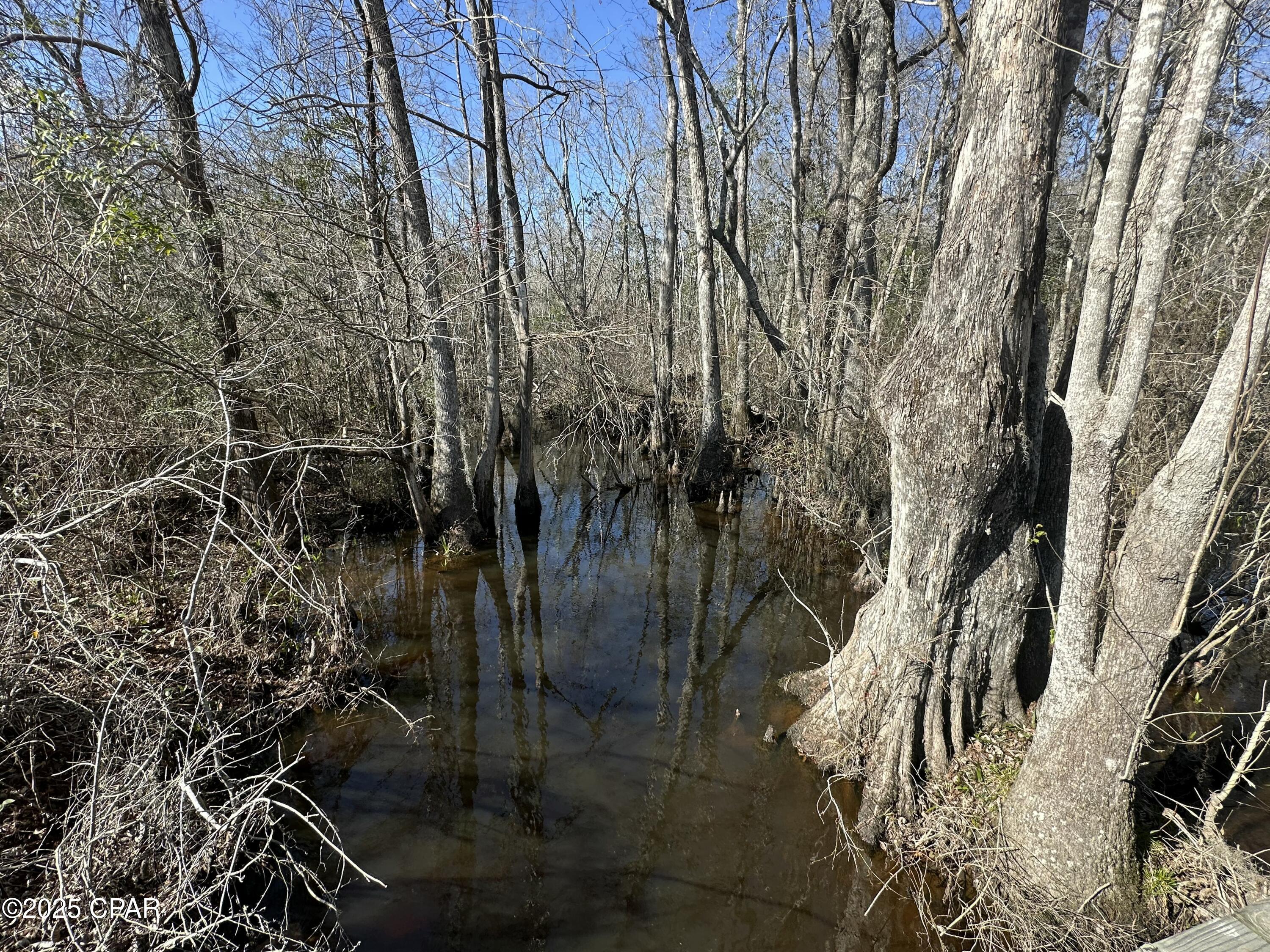 Tract#6317 Harris Stevenson Road Bonifay, FL 32425 - Photo 14 of 17