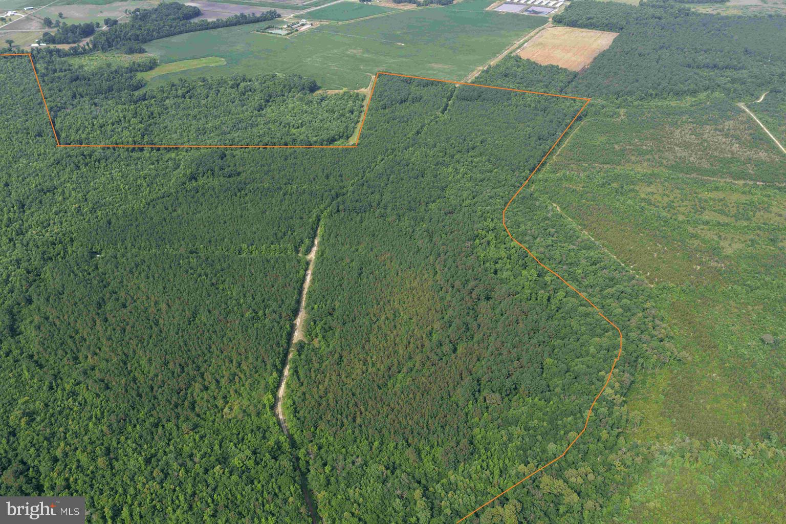 Sarecta Road Kenansville, NC 28349 - Photo 4 of 28