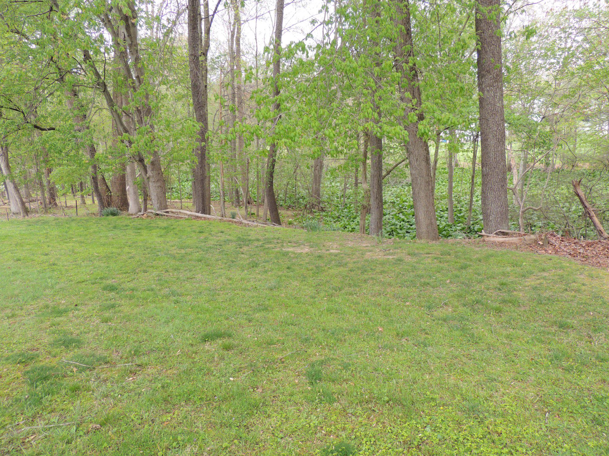 5838 Oklahoma Road Sykesville, MD 21784 - Photo 64 of 72 Property backs to large conservation area.