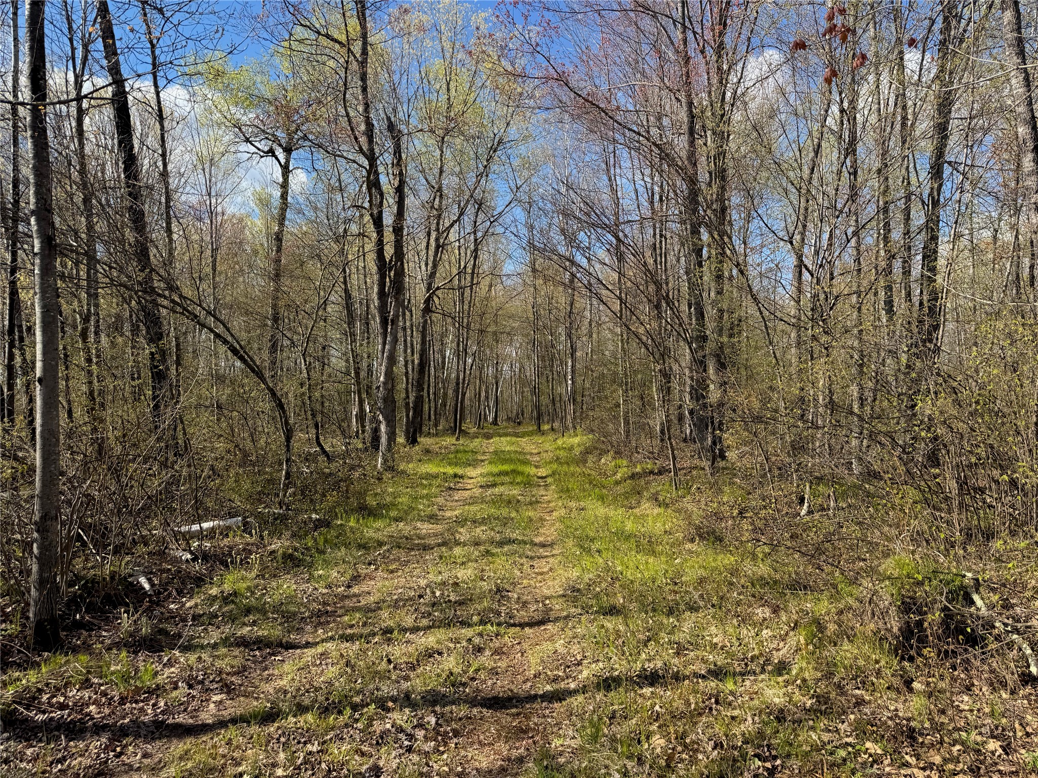 Lot 7 Trapper Trail Hayward, WI 54843 - Photo 16 of 42