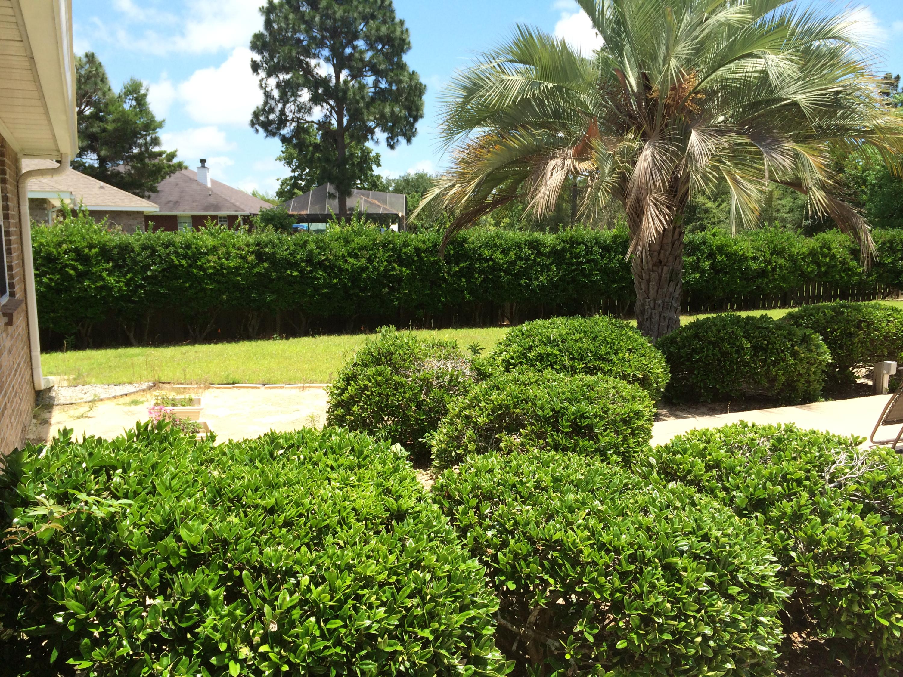2557 Crescent Road Navarre, FL 32566 - Photo 13 of 48 a view of swimming pool from a yard