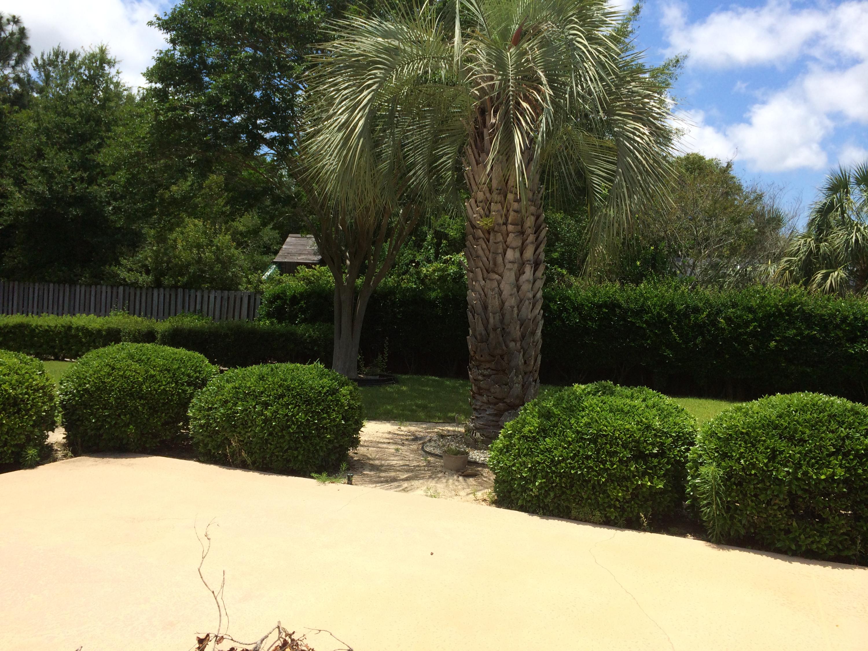 2557 Crescent Road Navarre, FL 32566 - Photo 14 of 48 a view of a garden