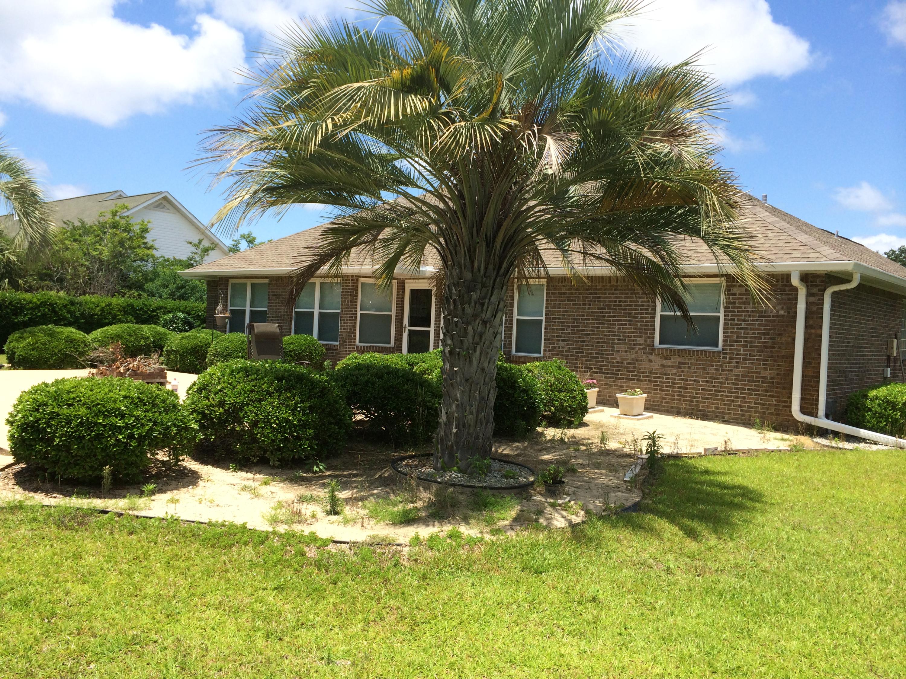 2557 Crescent Road Navarre, FL 32566 - Photo 2 of 48 a backyard of a house with table and chairs plants and large tree