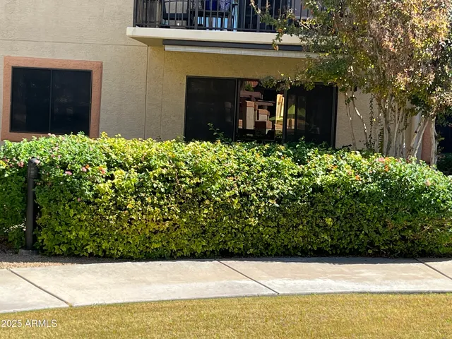a view of house with potted plants