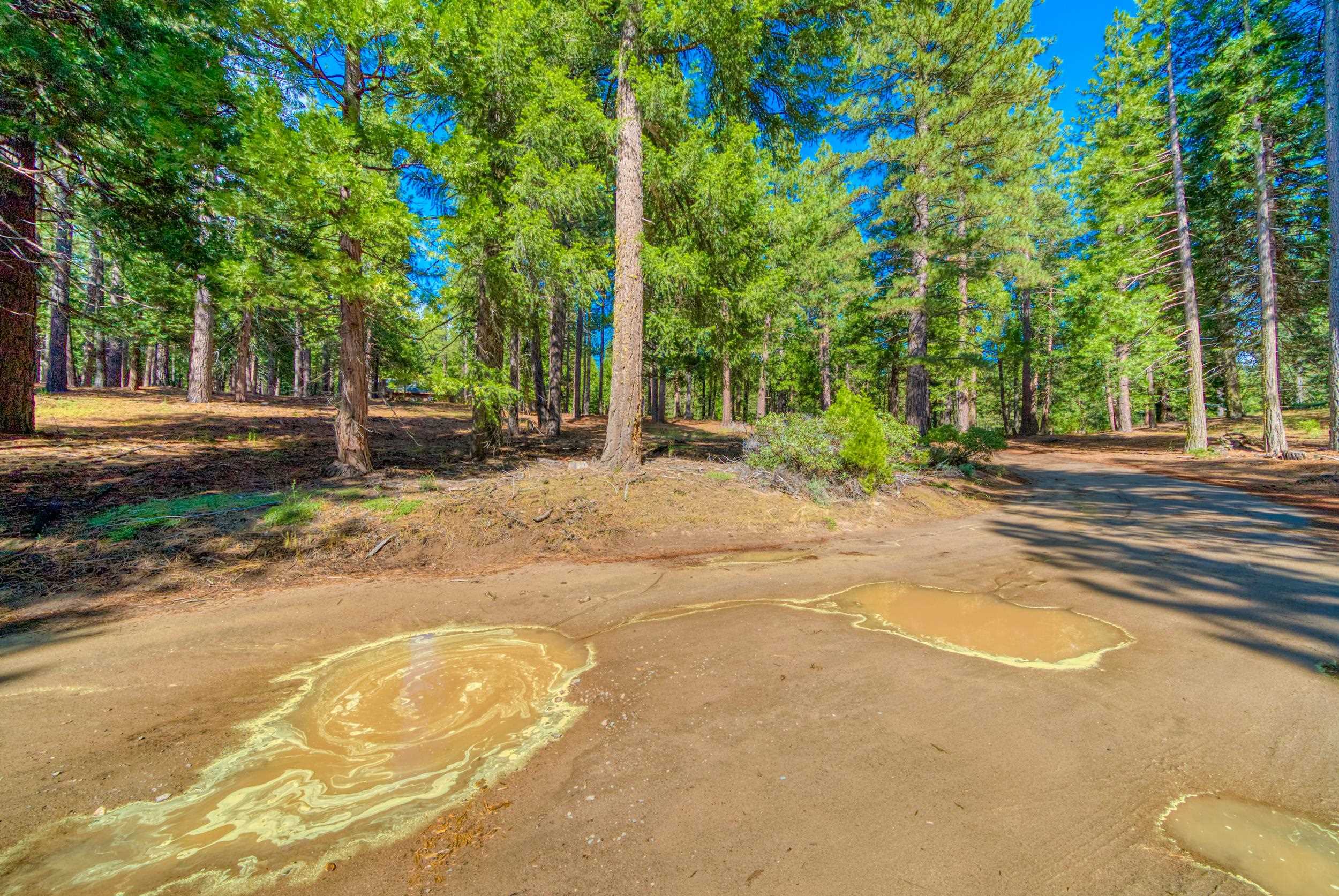 954 Red Fox Road Clio, CA 96106 - Photo 14 of 22