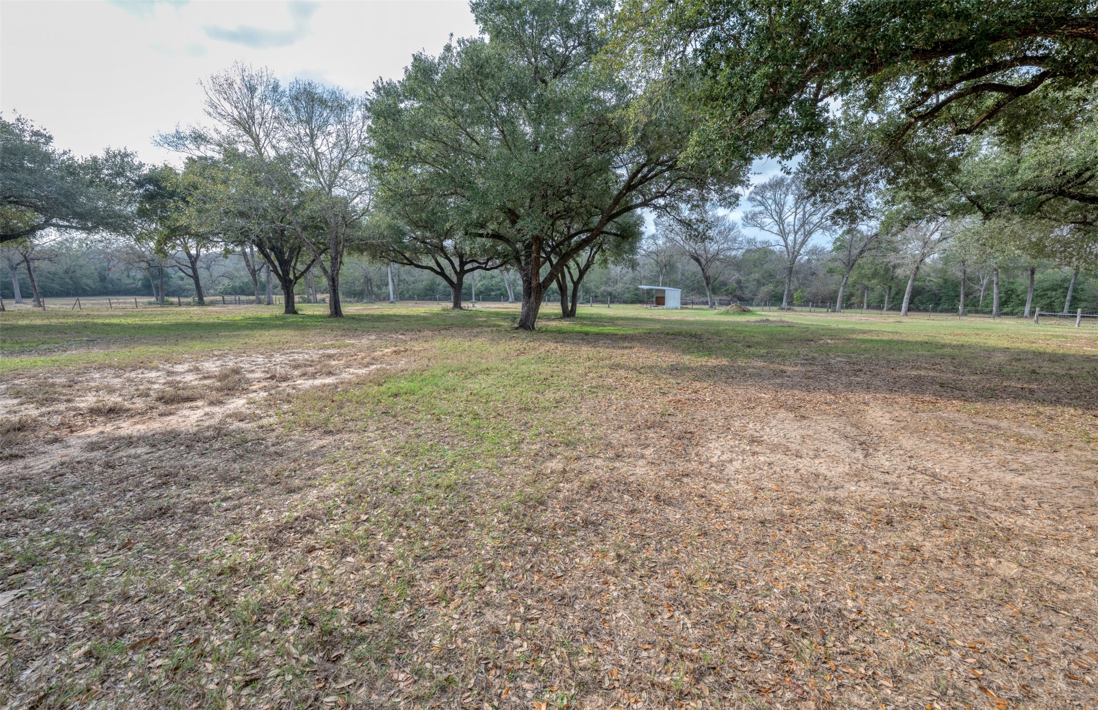 8775 Lone Star Road Washington, TX 77880 - Photo 24 of 44 a view of outdoor space with trees