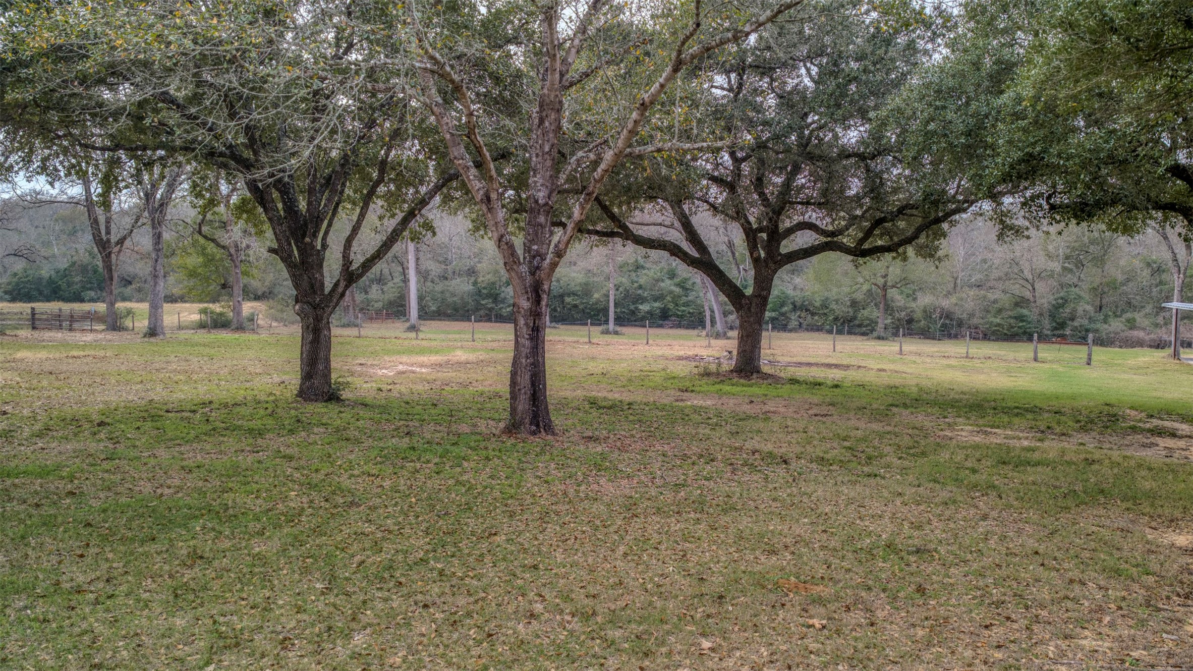 8775 Lone Star Road Washington, TX 77880 - Photo 25 of 44 a view of outdoor space with trees