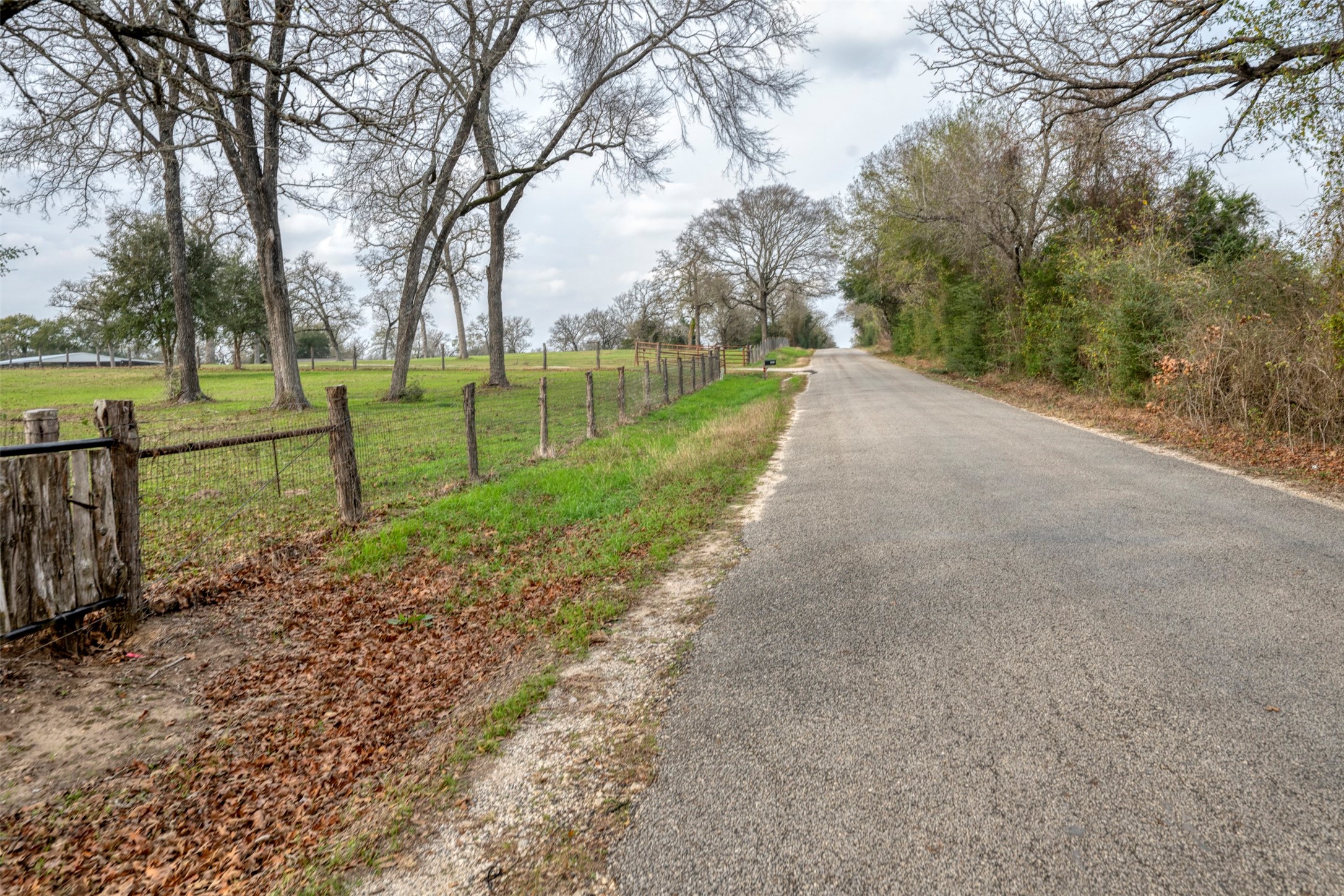 8775 Lone Star Road Washington, TX 77880 - Photo 43 of 44 a view of a park with large trees