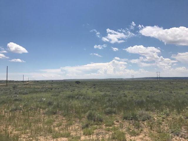 Lot 66 Turkey Ridge Ranch Walsenburg, CO 81089 - Photo 6 of 9