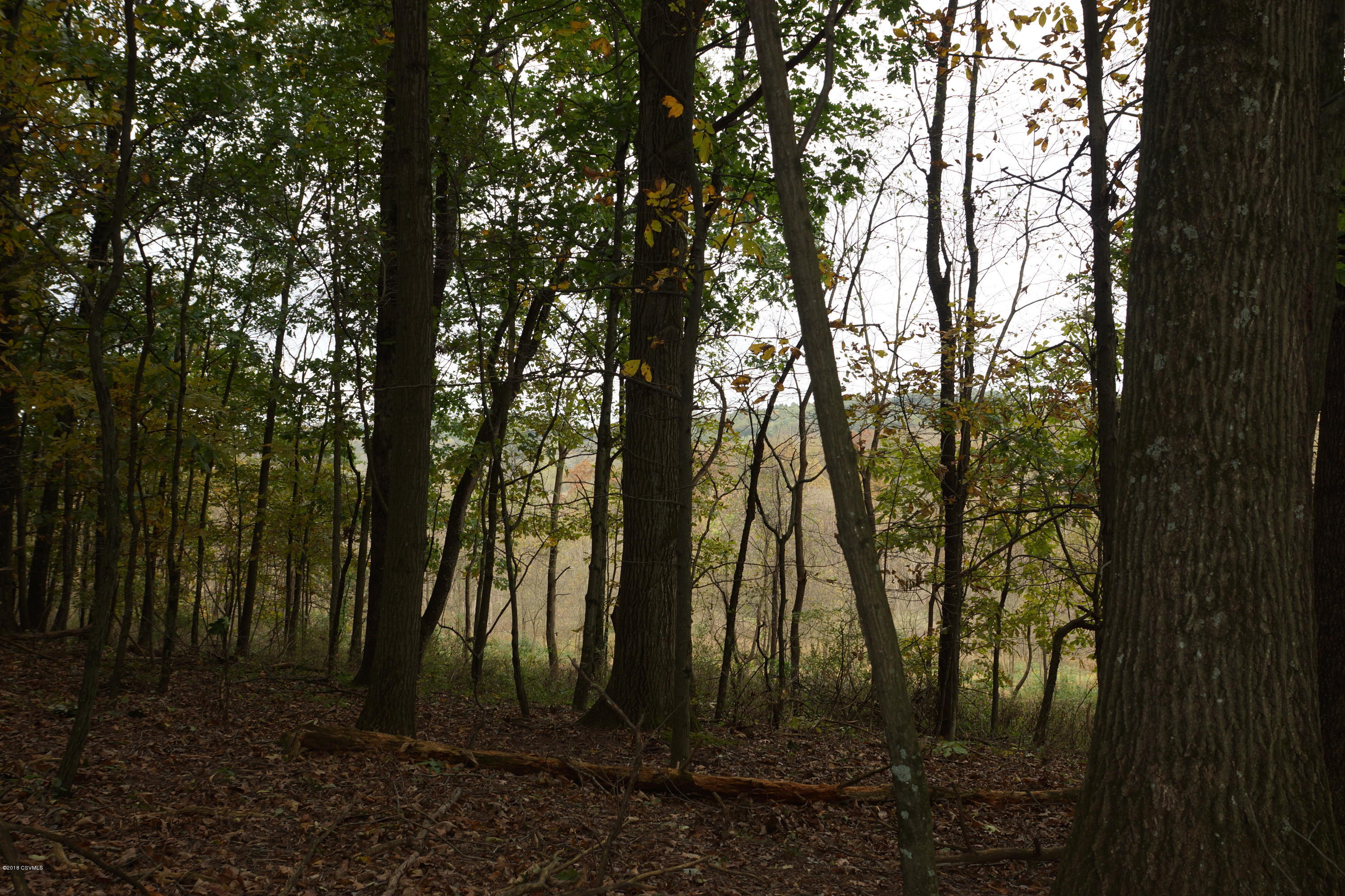 Lot 4 Milroy Road New Columbia, PA 17856 - Photo 6 of 27