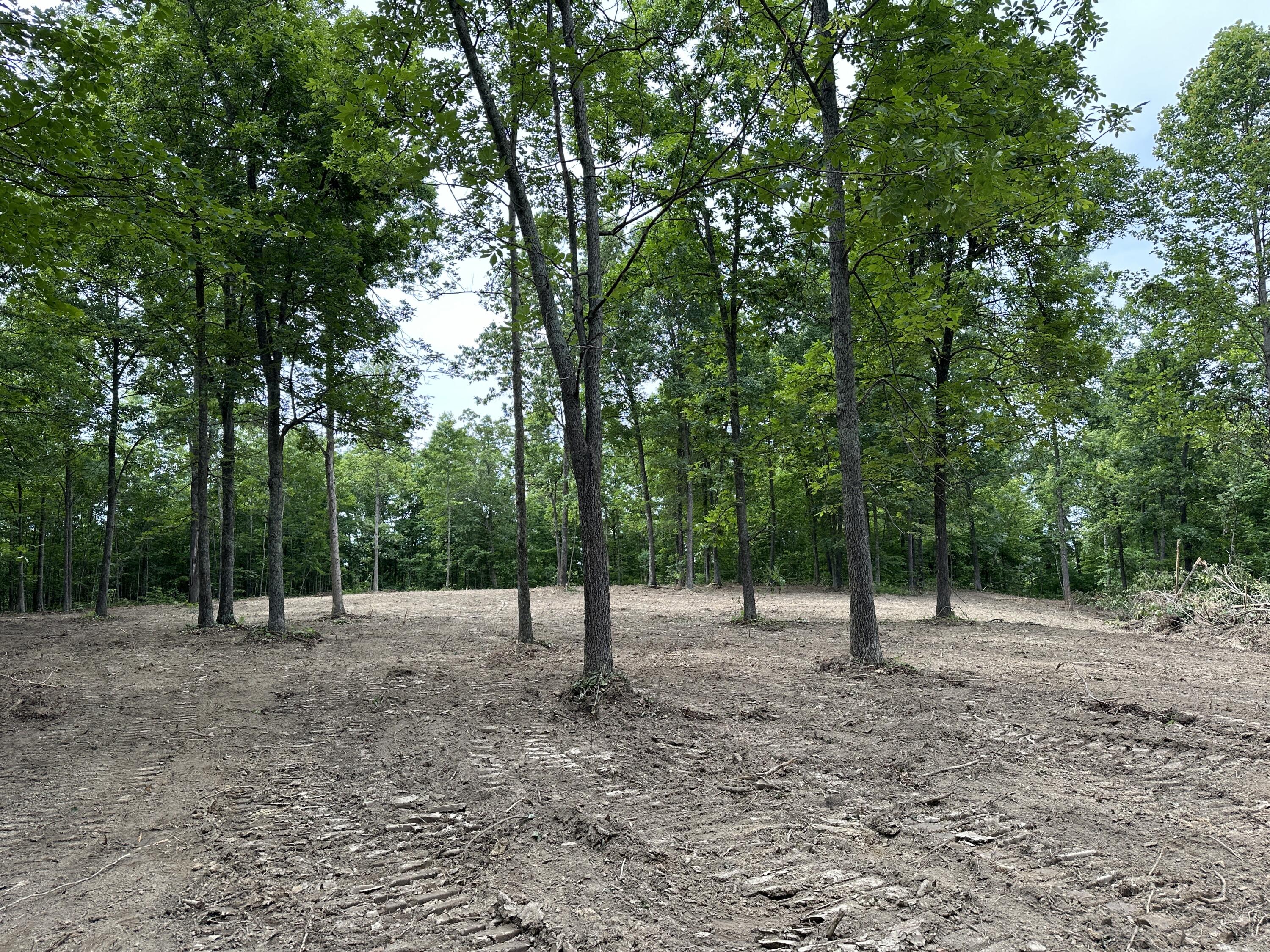 11 Williams Creek Road Rush, KY 41168 - Photo 10 of 42 8