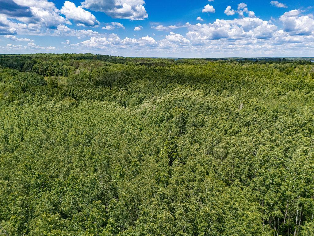 Tbd Freestone Road Grand Rapids, MN 55744 - Photo 15 of 17