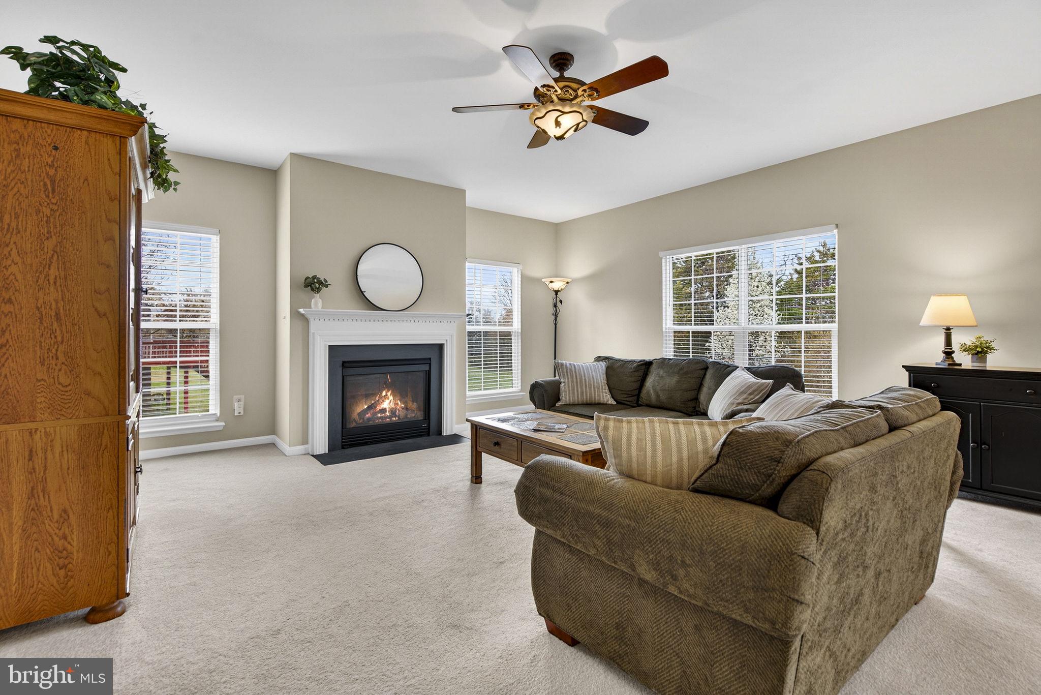 742 Blossom Tree Road Culpeper, VA 22701 - Photo 15 of 60 a living room with furniture a fireplace and a large window