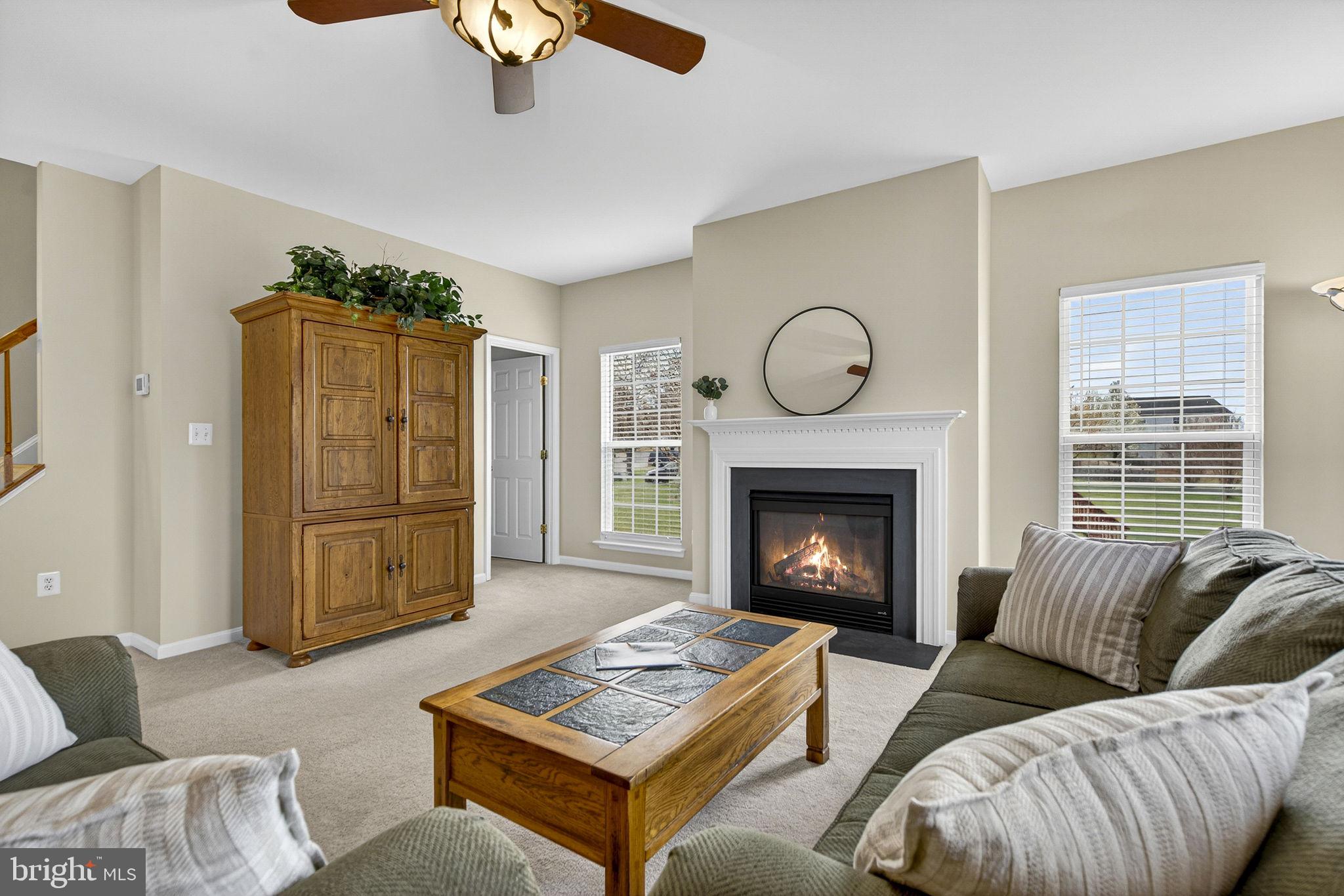 742 Blossom Tree Road Culpeper, VA 22701 - Photo 16 of 60 a living room with furniture and a fireplace