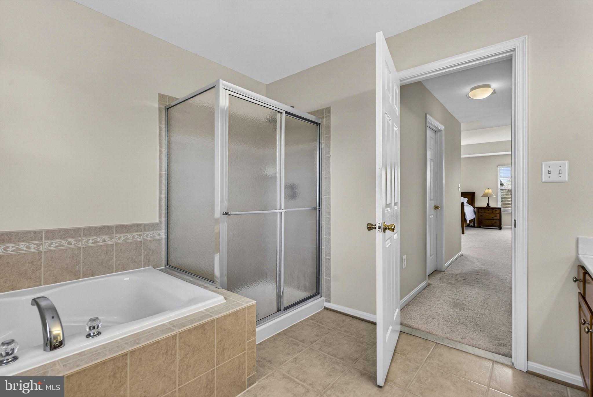 742 Blossom Tree Road Culpeper, VA 22701 - Photo 38 of 60 a bathroom with a tub a sink and a mirror