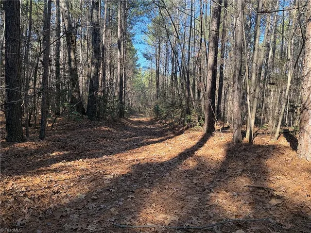 $135,000 | Lot 4 Woods Road, Seagrove, NC 27341