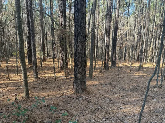 $135,000 | Lot 4 Woods Road, Seagrove, NC 27341