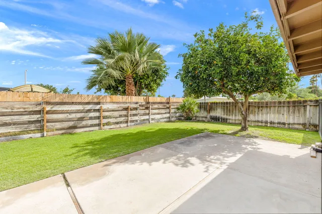a view of a park with large trees