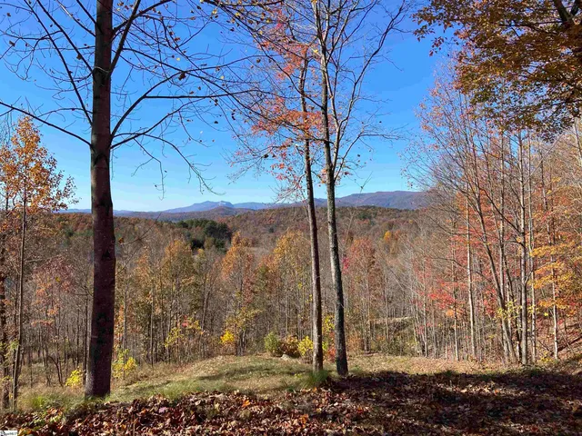 $585,000 | 17 Sweet Leaf Court, Marietta, SC 29661