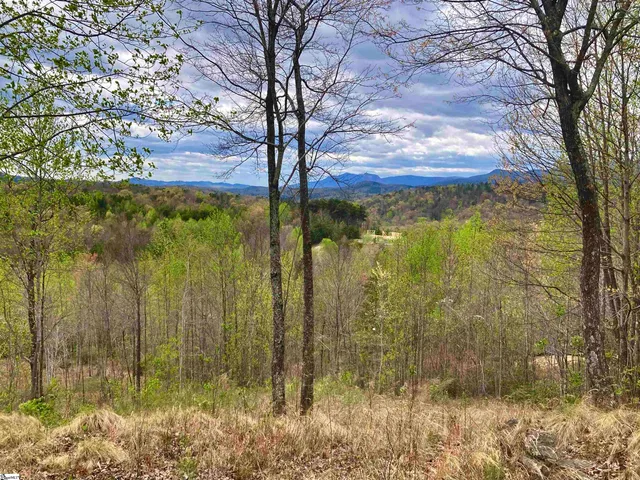 $585,000 | 17 Sweet Leaf Court, Marietta, SC 29661