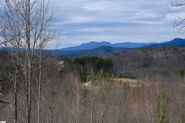 $585,000 | 17 Sweet Leaf Court, Marietta, SC 29661