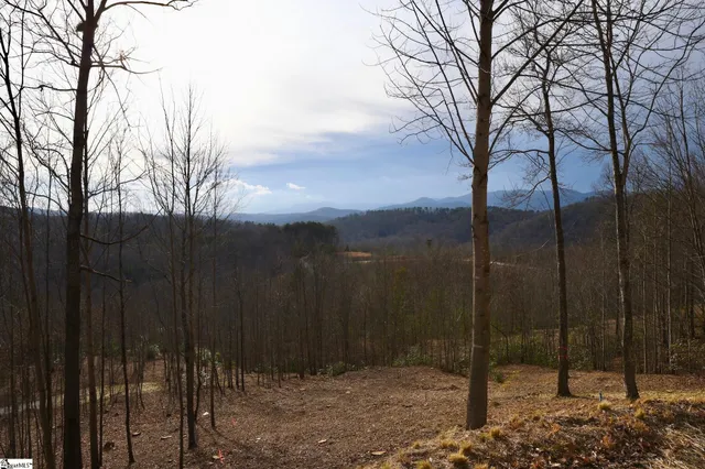 $585,000 | 17 Sweet Leaf Court, Marietta, SC 29661