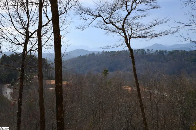 $585,000 | 17 Sweet Leaf Court, Marietta, SC 29661