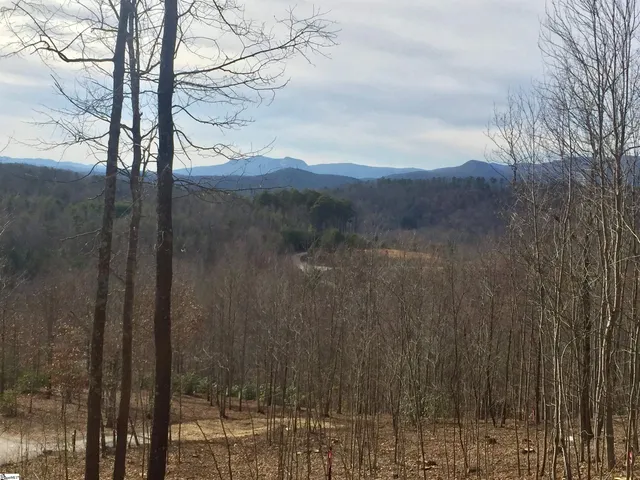 $585,000 | 17 Sweet Leaf Court, Marietta, SC 29661