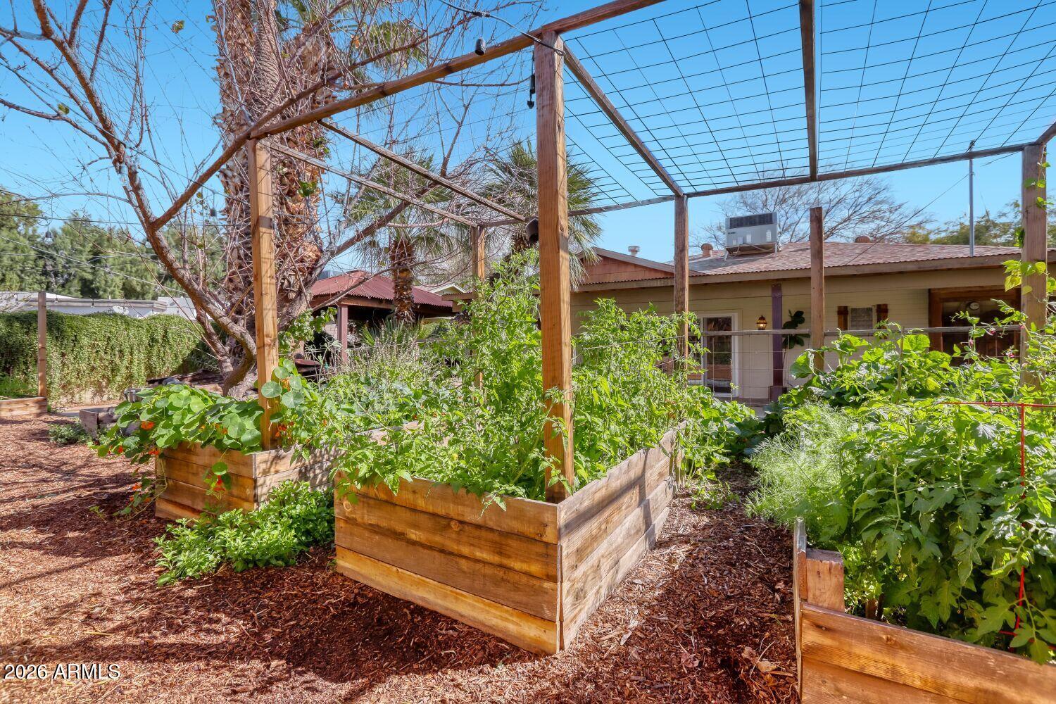 5312 North 9th Street Phoenix, AZ 85014 - Photo 33 of 41 BACKYARD 4