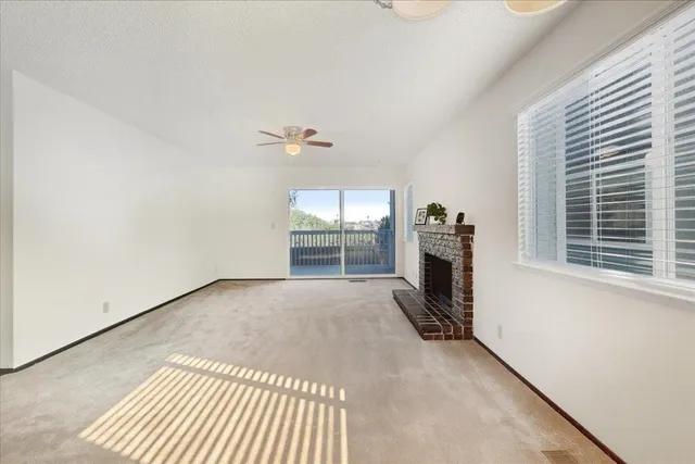 a view of a garden with a tree