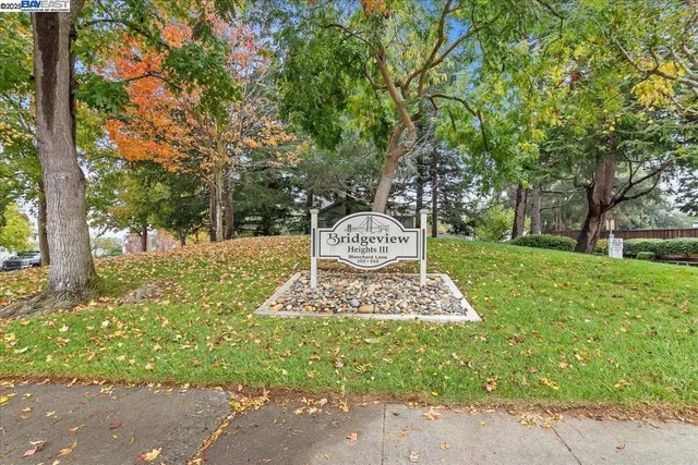 a view of a garden with a tree