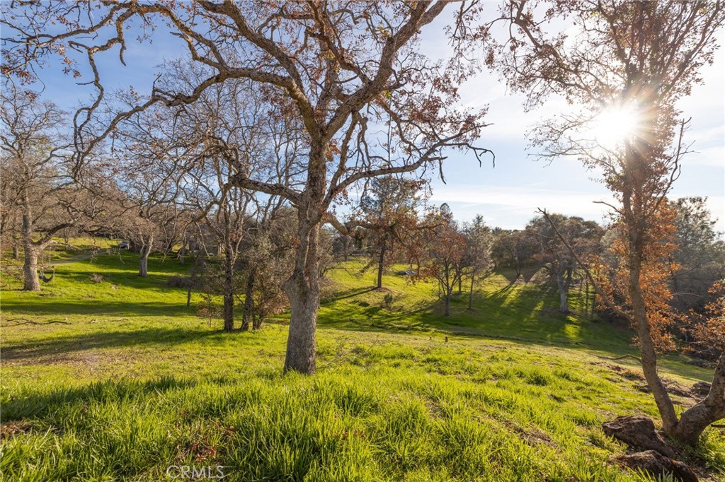 33940 Jennifer Way Coarsegold, CA 93614 - Photo 44 of 75 a view of outdoor space