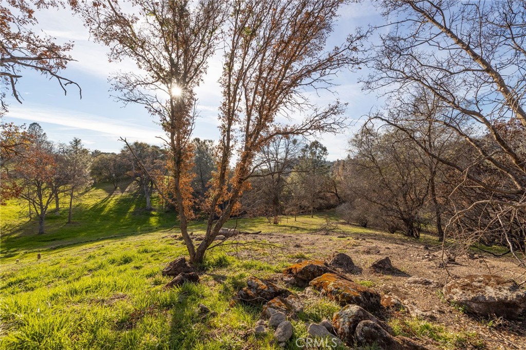 33940 Jennifer Way Coarsegold, CA 93614 - Photo 45 of 75