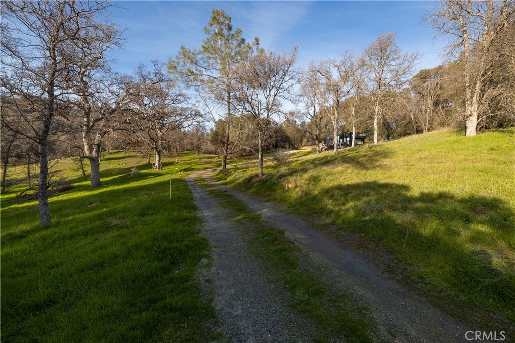 33940 Jennifer Way Coarsegold, CA 93614 - Photo 47 of 75 a swimming pool with trees in the background