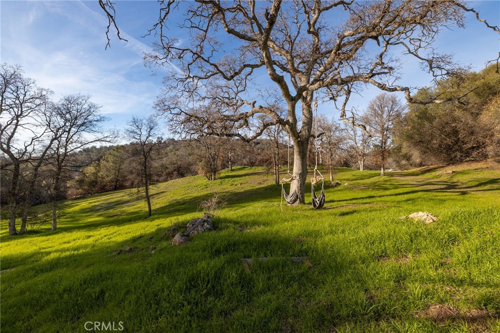 33940 Jennifer Way Coarsegold, CA 93614 - Photo 48 of 75