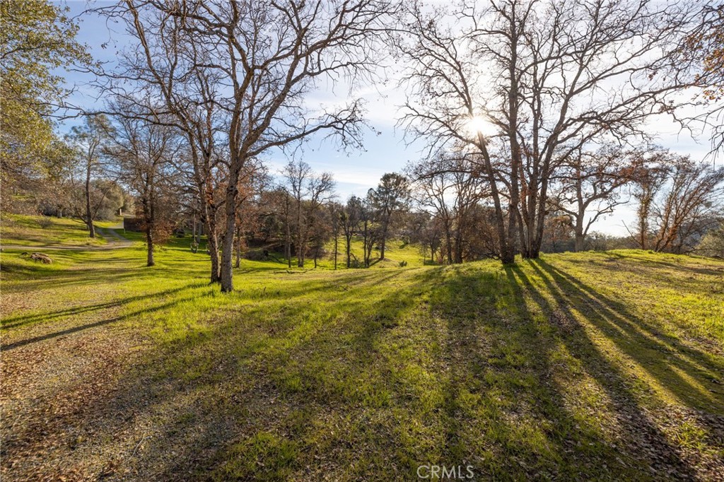 33940 Jennifer Way Coarsegold, CA 93614 - Photo 51 of 75