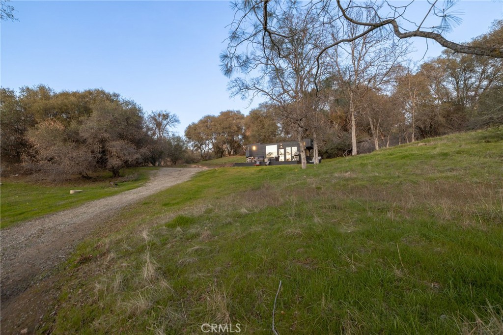 33940 Jennifer Way Coarsegold, CA 93614 - Photo 52 of 75 a view of a big yard with large trees