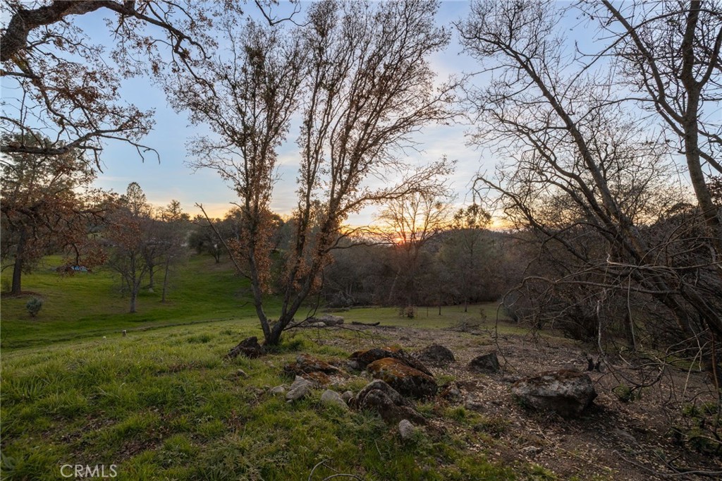33940 Jennifer Way Coarsegold, CA 93614 - Photo 54 of 75 a big yard with lots of green space and trees