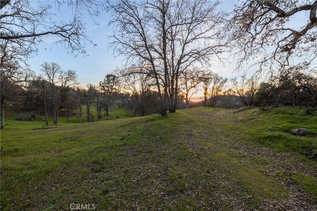 33940 Jennifer Way Coarsegold, CA 93614 - Photo 55 of 75 a view of a field with trees